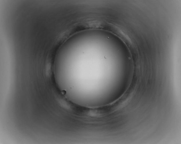 X0000113870641200909241333