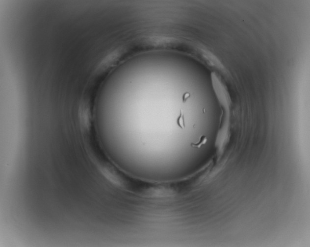 X0000113870644200909241333