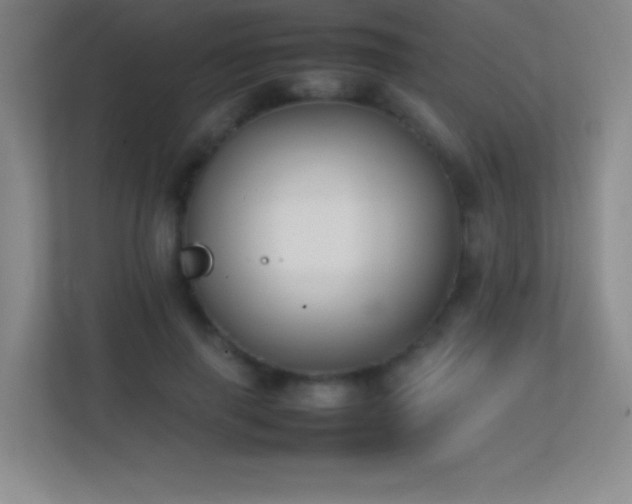 X0000113870645200909241333