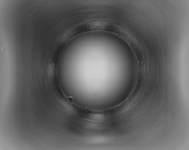 X0000113870649200909241333