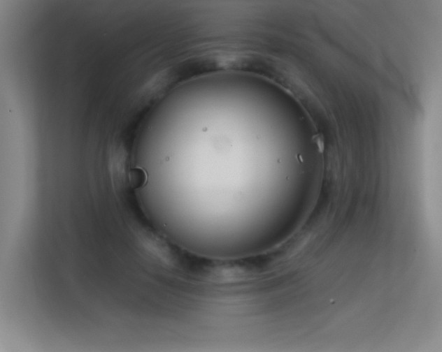 X0000113870650200909241333