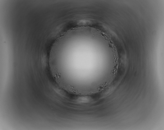 X0000113870659200909241333