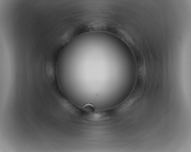 X0000113870662200909241333