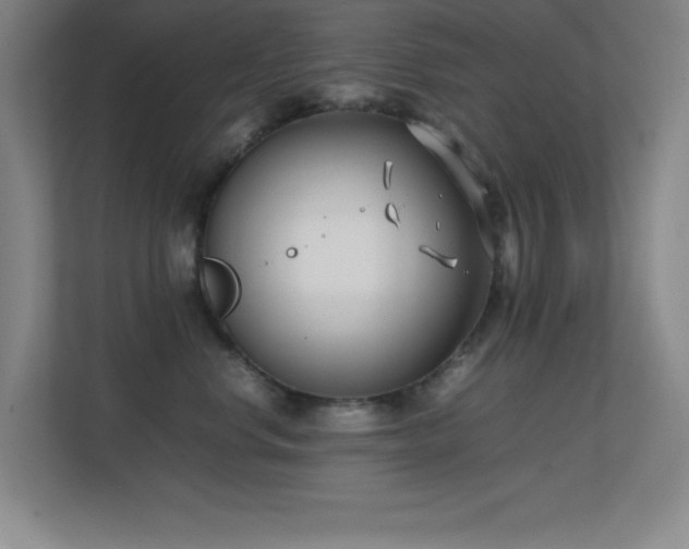 X0000113870668200909241333