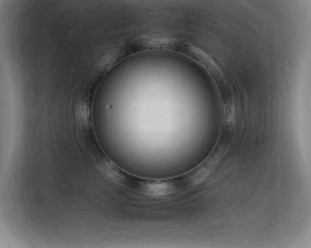 X0000113870669200909241333