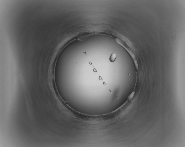 X0000113870673200909241332