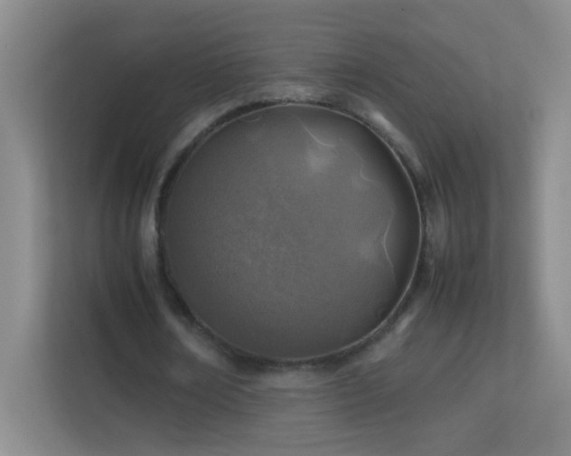 X0000113870674200909241332