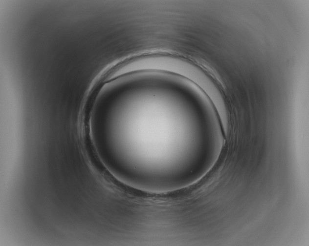 X0000113870676200909241332