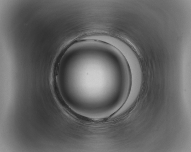 X0000113870677200909241332