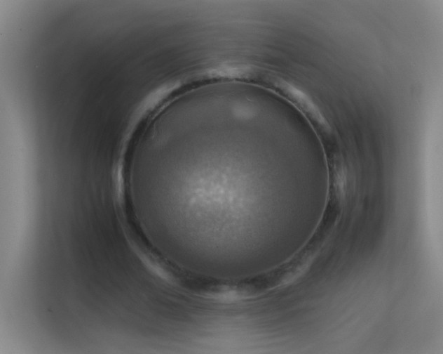 X0000113870678200909241332