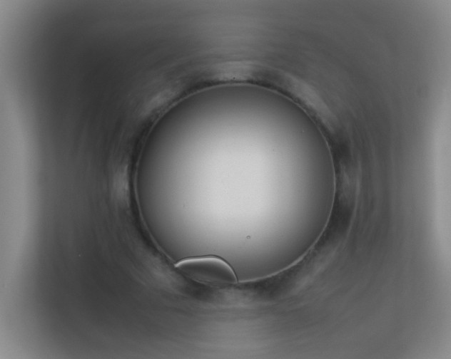 X0000113870681200909241332