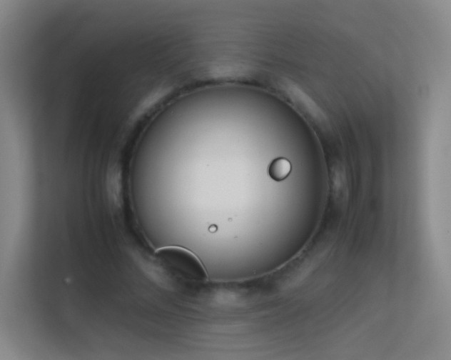 X0000113870684200909241332