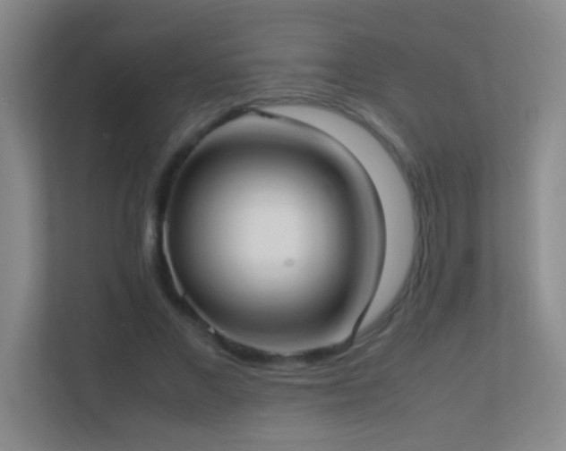 X0000113870685200909241332