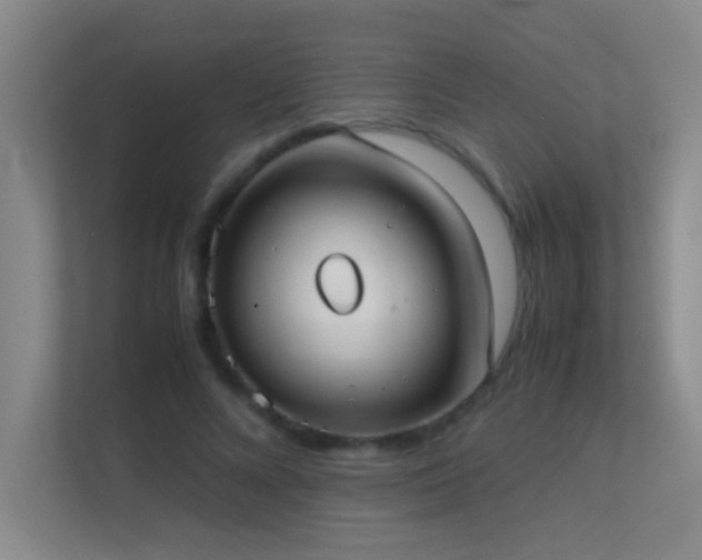 X0000113870688200909241332