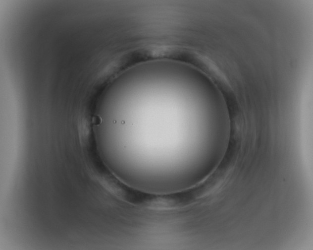 X0000113870691200909241332