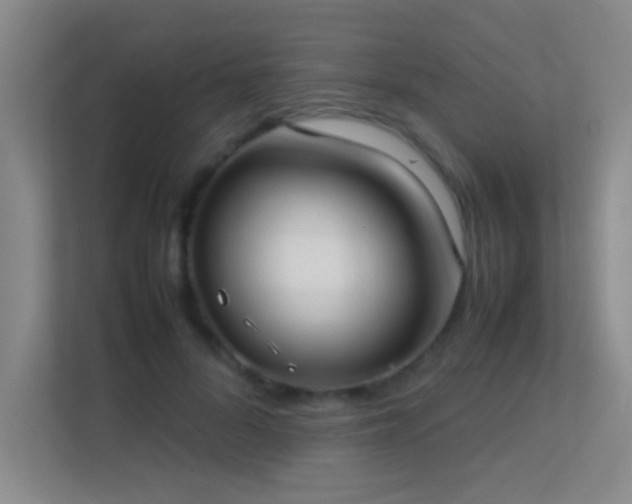 X0000113870696200909241332