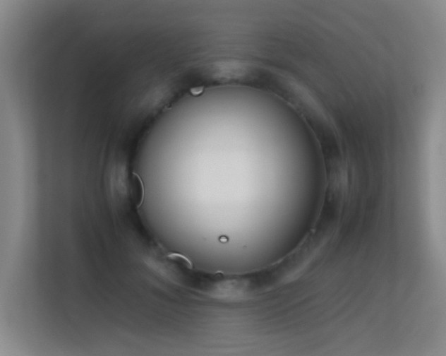 X0000113870700200909241332