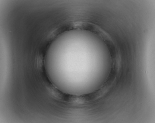 X0000113870702200909241332