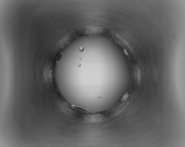 X0000113870716200909241332