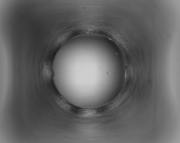 X0000113870719200909241332