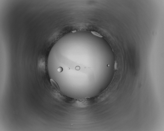 X0000113870720200909241332