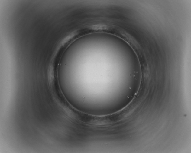 X0000113870727200909241331