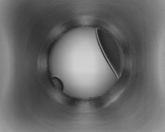 X0000113870740200909241332