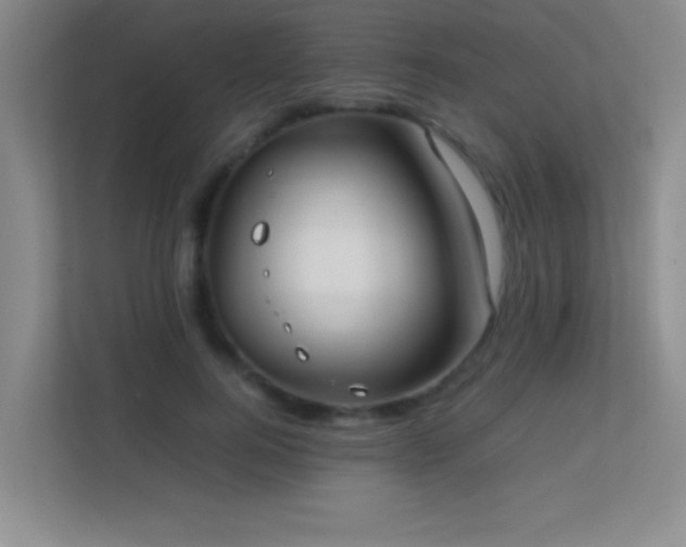 X0000113870744200909241332