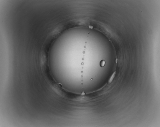 X0000113870748200909241332