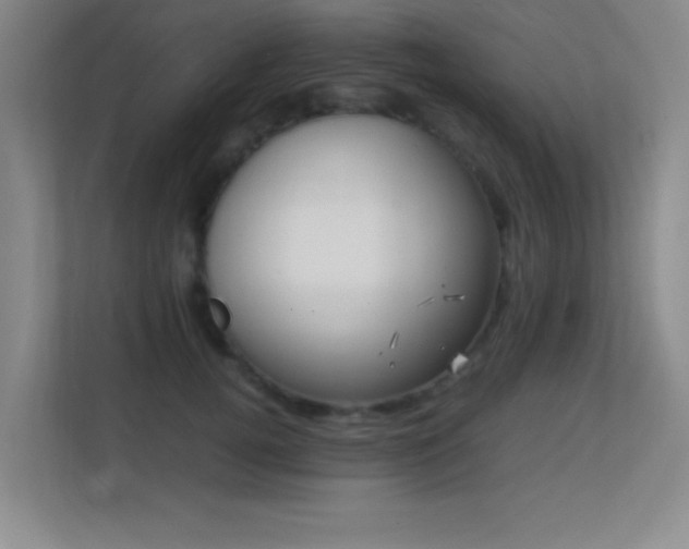 X0000113870752200909241332