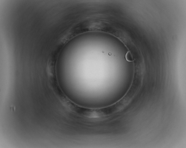 X0000113870755200909241332