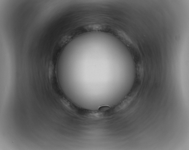 X0000113870760200909241332