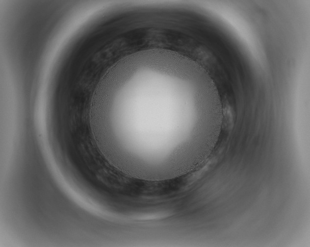 X0000113870765200909241332