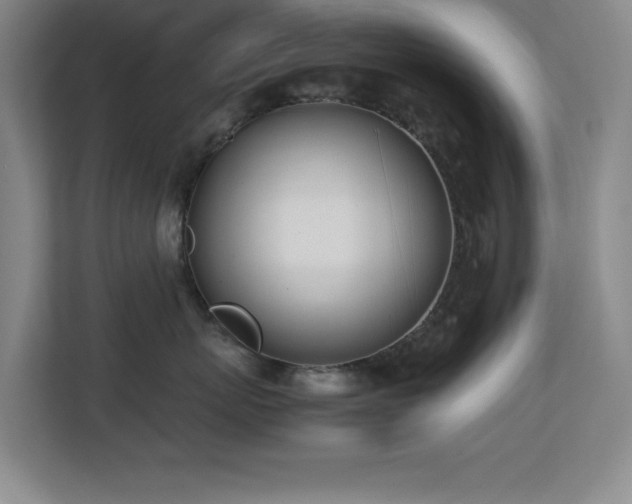 X0000113870767200909241332