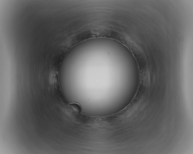 X0000113870770200909241331