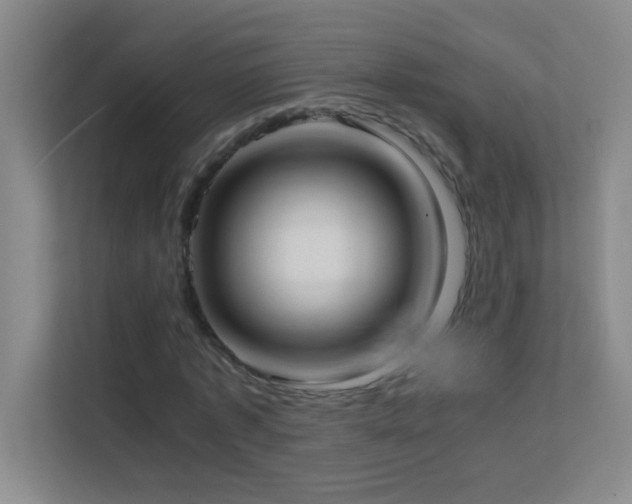 X0000113870773200909241331