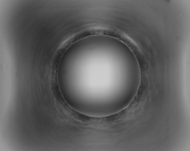 X0000113870775200909241331