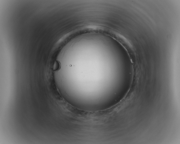 X0000113870776200909241331