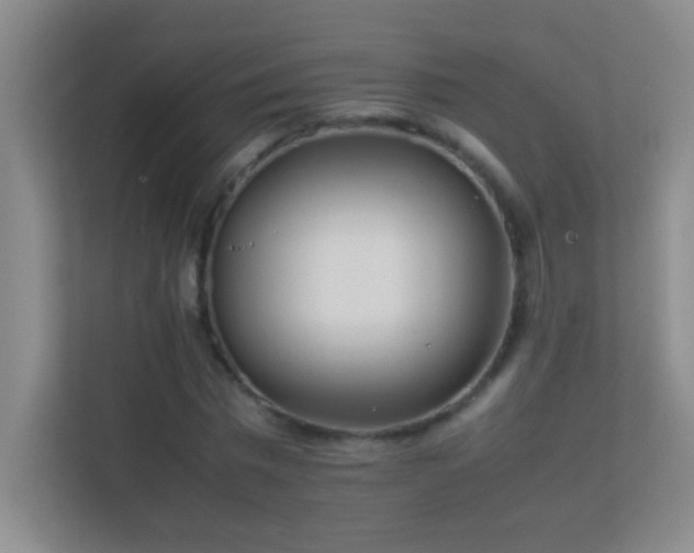 X0000113870777200909241331