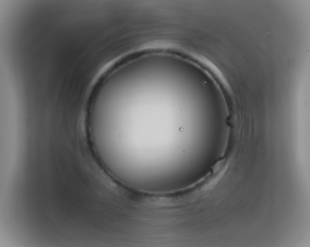 X0000113870783200909241331