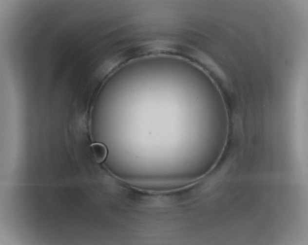 X0000113870785200909241331