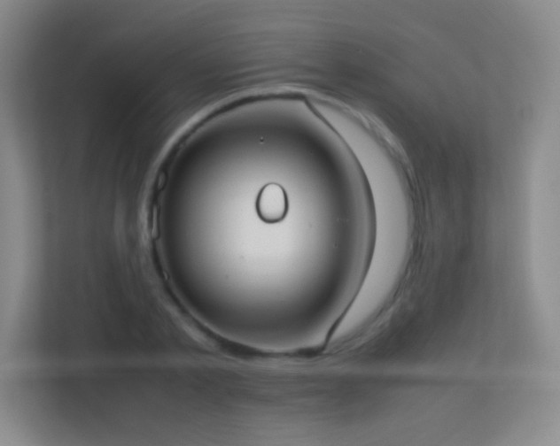 X0000113870789200909241331