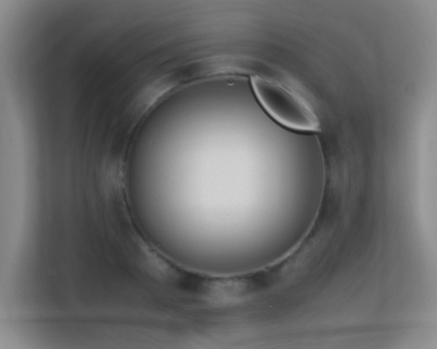 X0000113870793200909241331
