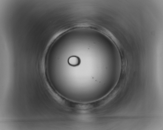 X0000113870795200909241331