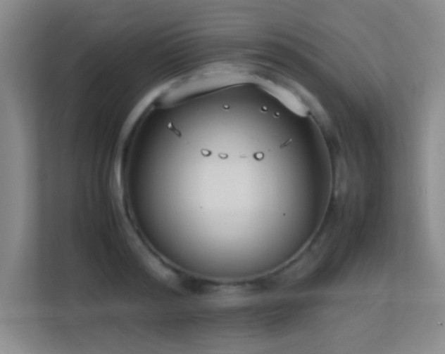 X0000113870796200909241331