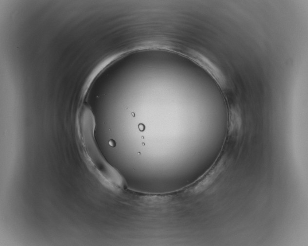 X0000113870812200909241331
