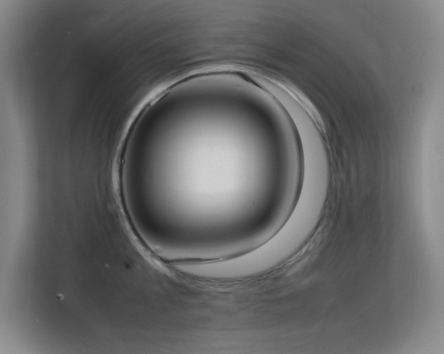 X0000113870813200909241331