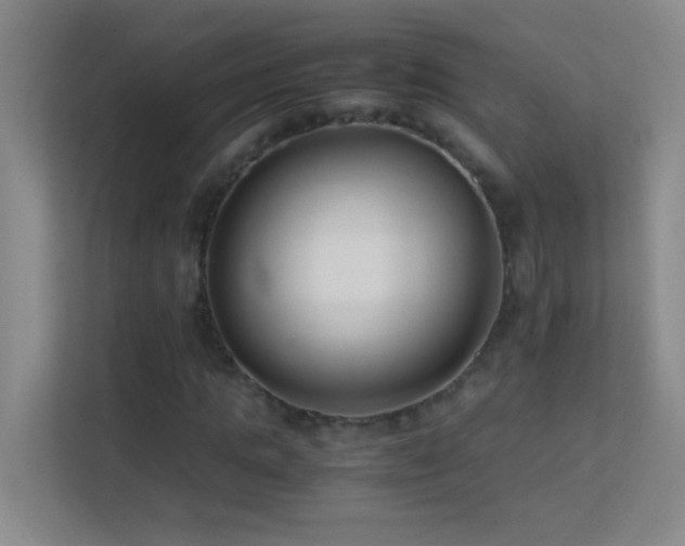 X0000113870821200909241330