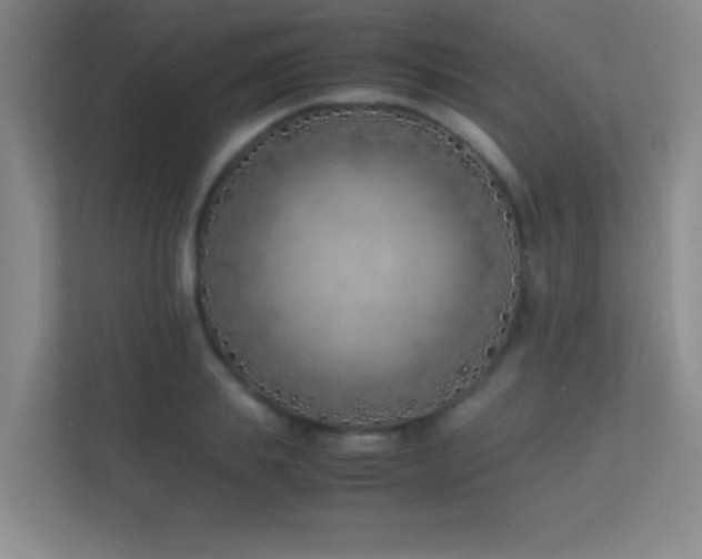 X0000113870839200909241330