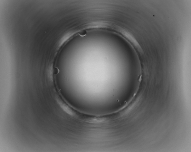 X0000113870842200909241330